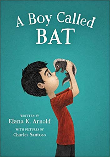 The cover of the book, A Boy Called Bat shows a boy holding a baby skunk