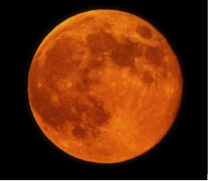 An orange Harvest Moon