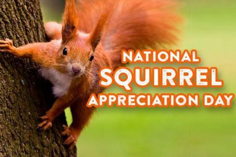 National Squirrel Appreciation Day