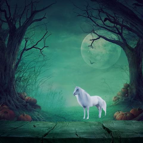 Forbidden Forest with unicorn