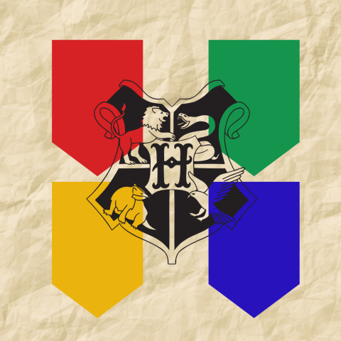 house colors logo