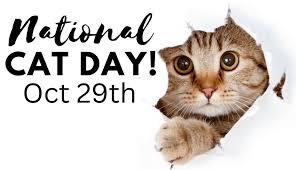 National Cat Day 